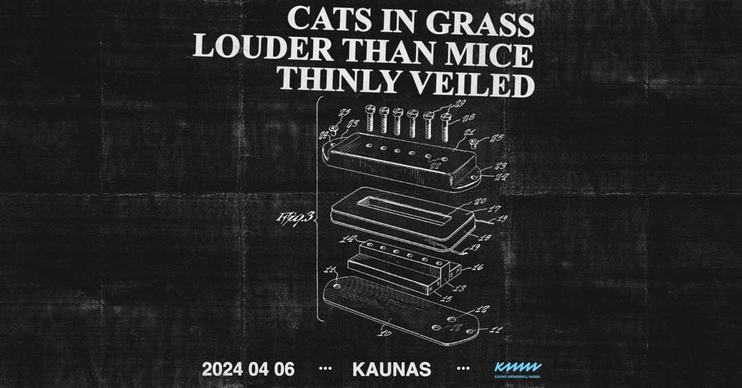 Cats In Grass x Louder Than Mice x Thinly Veiled | Koncertas | Balandžio 6 d. 20 val. | Kauno menininkų namai